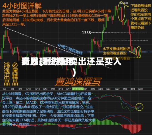 看跌现货费用
交易(看跌是卖出还是买入)