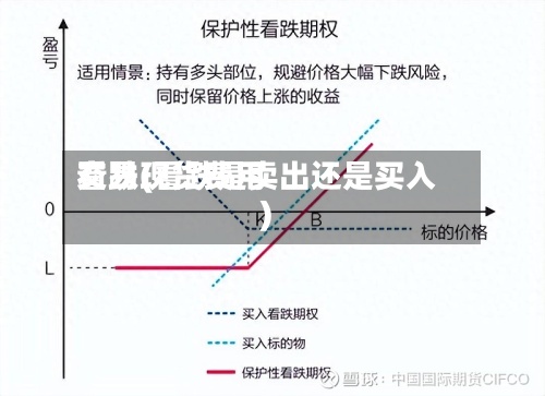 看跌现货费用
交易(看跌是卖出还是买入)-第2张图片