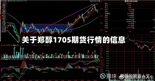 关于郑醇1705期货行情的信息-第2张图片