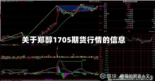 关于郑醇1705期货行情的信息