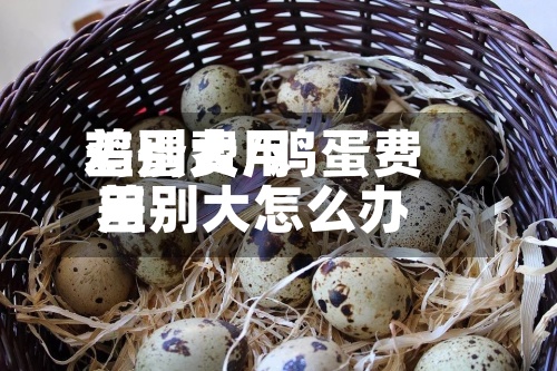 鸡蛋费用
差别大/鸡蛋费用
差别大怎么办-第2张图片