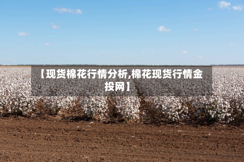 【现货棉花行情分析,棉花现货行情金投网】-第2张图片