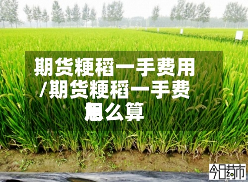 期货粳稻一手费用/期货粳稻一手费用怎么算