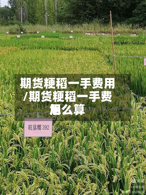 期货粳稻一手费用
/期货粳稻一手费用
怎么算-第2张图片