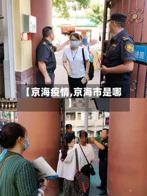 【京海疫情,京海市是哪】-第3张图片