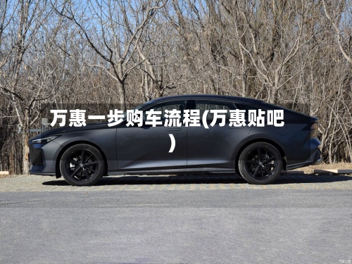 万惠一步购车流程(万惠贴吧)