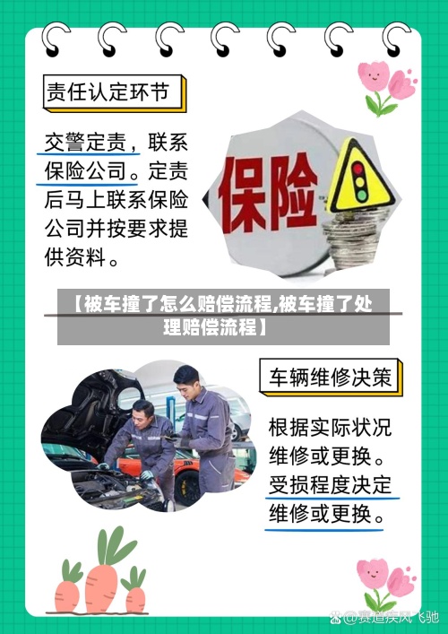 【被车撞了怎么赔偿流程,被车撞了处理赔偿流程】