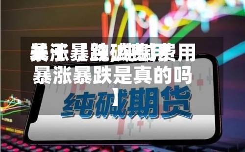 关于【纯碱费用暴涨暴跌,纯碱费用暴涨暴跌是真的吗】
