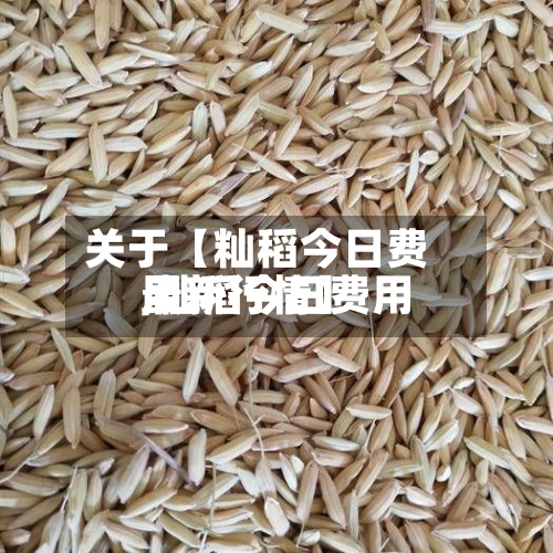 关于【籼稻今日费用,籼稻今日费用最新行情】-第2张图片