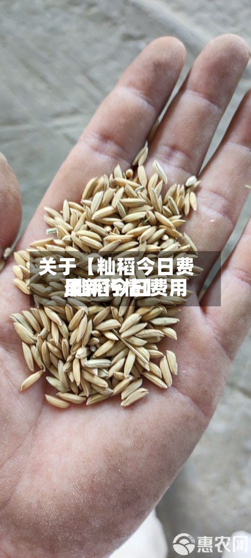 关于【籼稻今日费用
,籼稻今日费用
最新行情】
