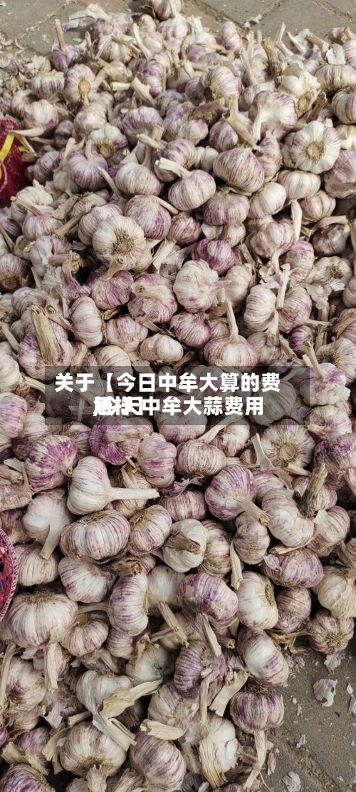 关于【今日中牟大算的费用
,今天中牟大蒜费用
怎样】-第3张图片