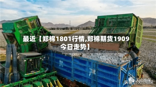 最近【郑棉1801行情,郑棉期货1909今日走势】