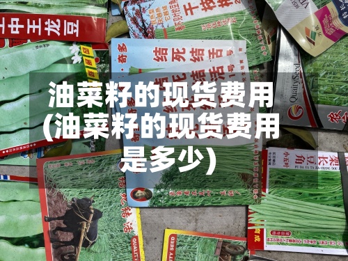 油菜籽的现货费用
(油菜籽的现货费用
是多少)