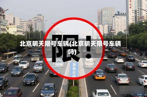 北京明天限号车辆(北京明天限号车辆吗)