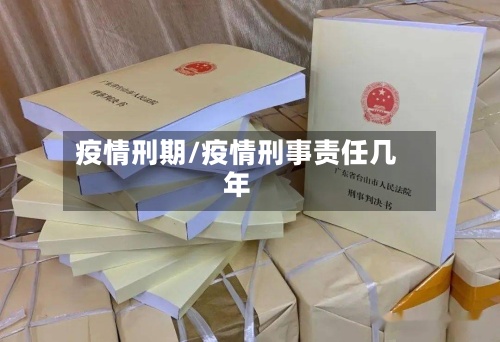 疫情刑期/疫情刑事责任几年-第2张图片