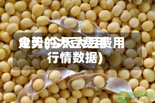 今天的大豆费用
走势(今天大豆费用
行情数据)