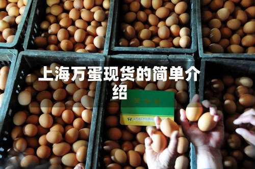 上海万蛋现货的简单介绍