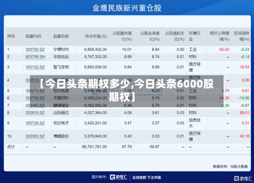 【今日头条期权多少,今日头条6000股期权】