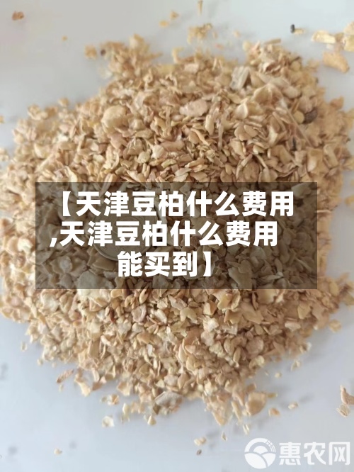 【天津豆柏什么费用
,天津豆柏什么费用
能买到】-第2张图片