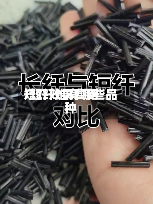 短纤效果费用/短纤维有哪些品种-第3张图片