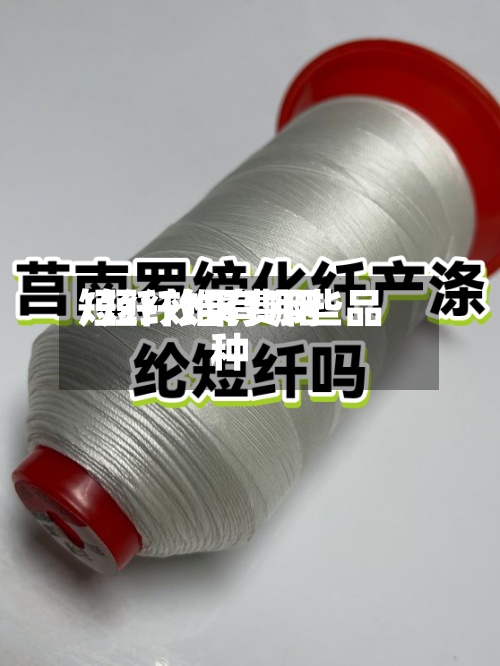 短纤效果费用/短纤维有哪些品种-第2张图片