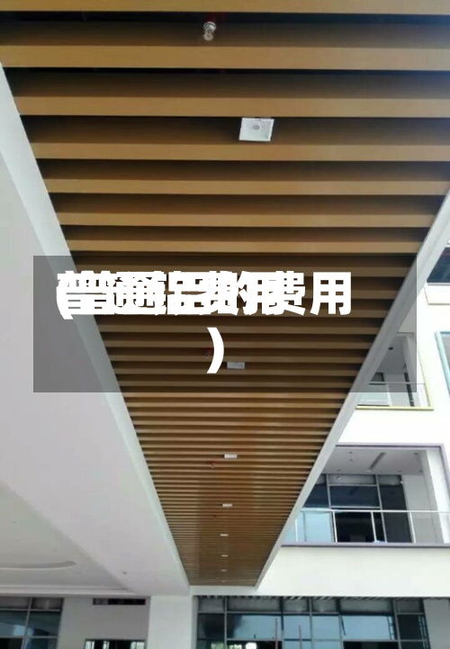 普通铝费用
(普通铝的费用
)