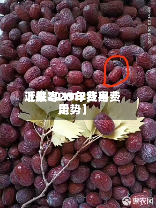 近来【红枣2017费用下跌2019年红枣费用走势】