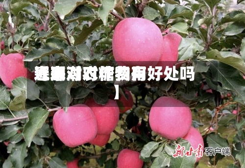近来
【寒潮对糖费用
寒潮对农作物有好处吗】-第3张图片