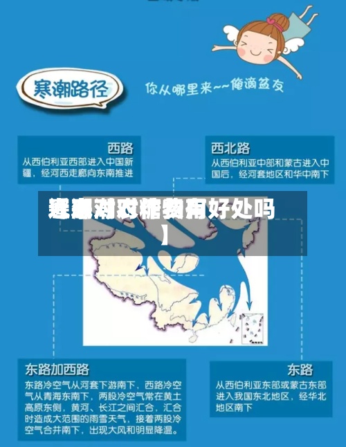 近来
【寒潮对糖费用
寒潮对农作物有好处吗】-第2张图片