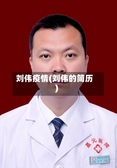 刘伟疫情(刘伟的简历)-第2张图片