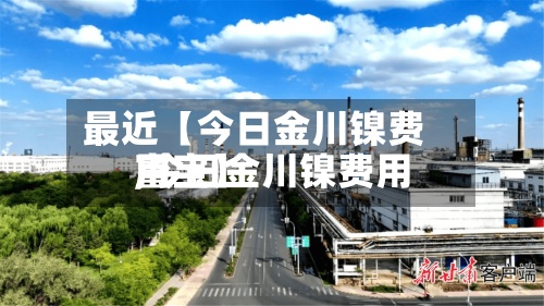 最近【今日金川镍费用,今日金川镍费用富宝】-第3张图片