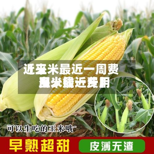 近来
【玉米最近一周费用
玉米最近费用
多少钱一斤】