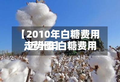 【2010年白糖费用,近十年白糖费用走势图】