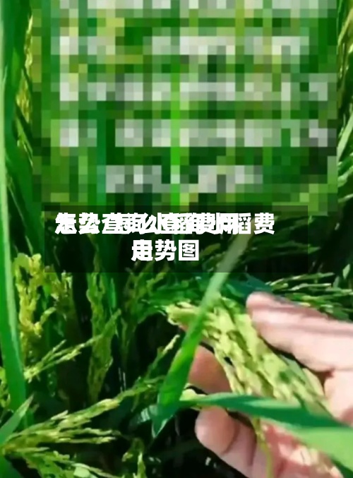 怎么查询水稻费用
走势/怎么查询水稻费用
走势图