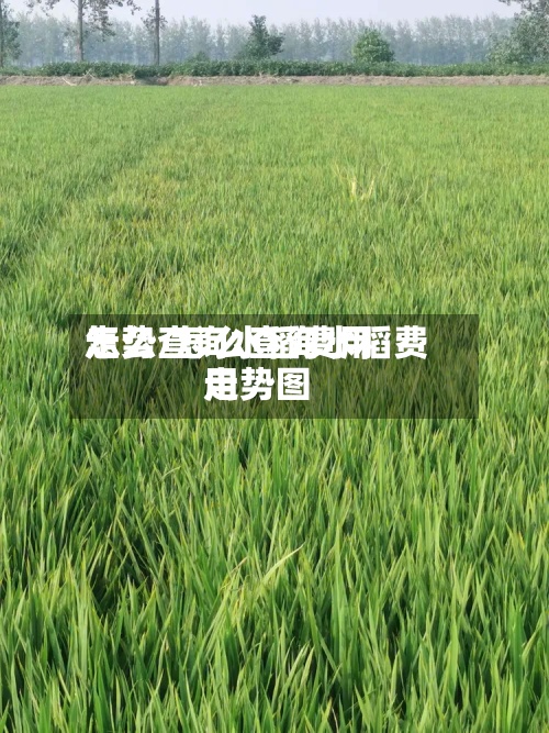 怎么查询水稻费用
走势/怎么查询水稻费用
走势图-第2张图片