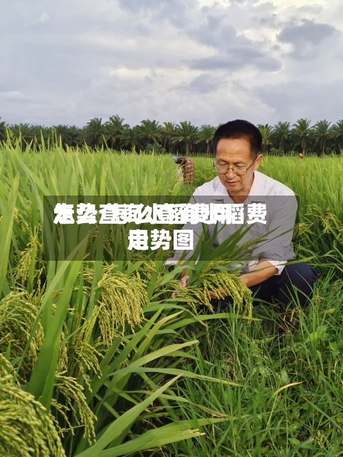 怎么查询水稻费用
走势/怎么查询水稻费用
走势图-第3张图片