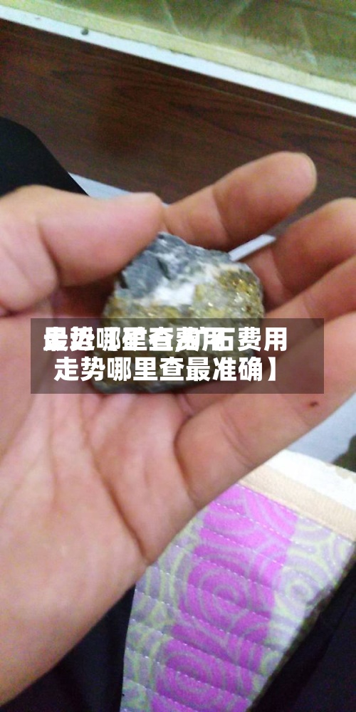 最近【矿石费用
走势哪里查,矿石费用
走势哪里查最准确】-第2张图片