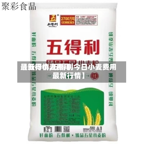 【五得小麦费用
最新行情,五得利今日小麦费用
最新行情】
