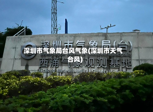 深圳市气象局台风气象(深圳市天气台风)
