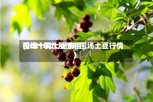 围场十月土豆费用(2021年九月份后围场土豆行情)-第2张图片