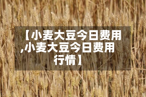 【小麦大豆今日费用
,小麦大豆今日费用
行情】