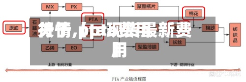 关于【pta费用
行情,pta现货最新费用
】-第2张图片