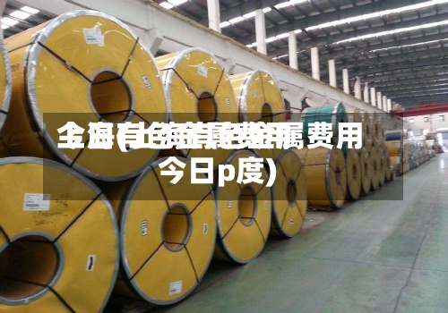 上海有色金属费用今日(上海有色金属费用今日p度)-第2张图片