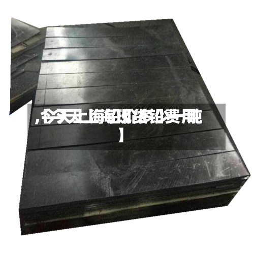 【今天上海现货铅费用,今天上海铅价多少一吨】