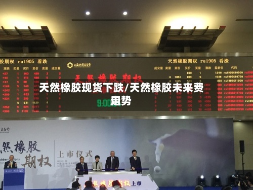 天然橡胶现货下跌/天然橡胶未来费用
走势