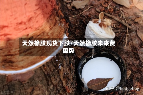 天然橡胶现货下跌/天然橡胶未来费用走势-第3张图片