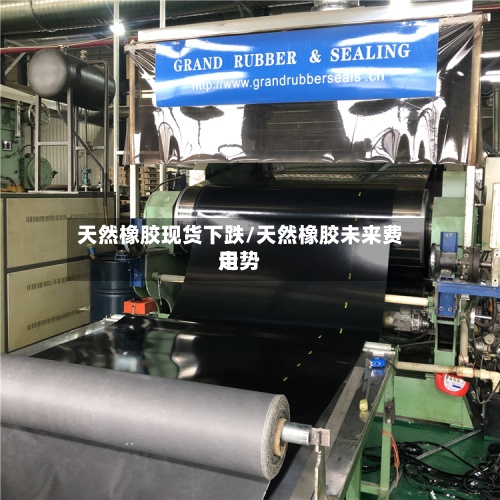 天然橡胶现货下跌/天然橡胶未来费用走势-第2张图片