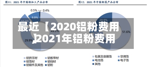 最近【2020铝粉费用,2021年铝粉费用】-第3张图片