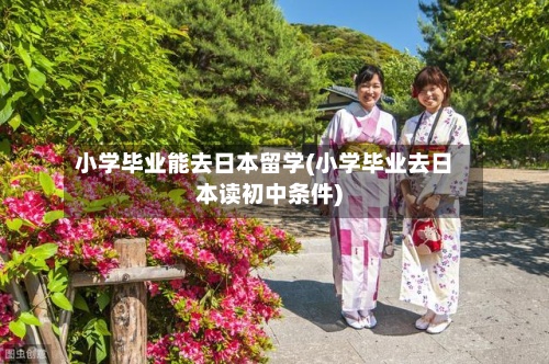 小学毕业能去日本留学(小学毕业去日本读初中条件)