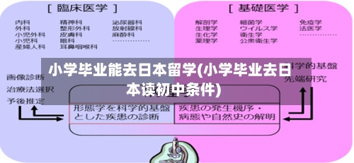 小学毕业能去日本留学(小学毕业去日本读初中条件)-第2张图片